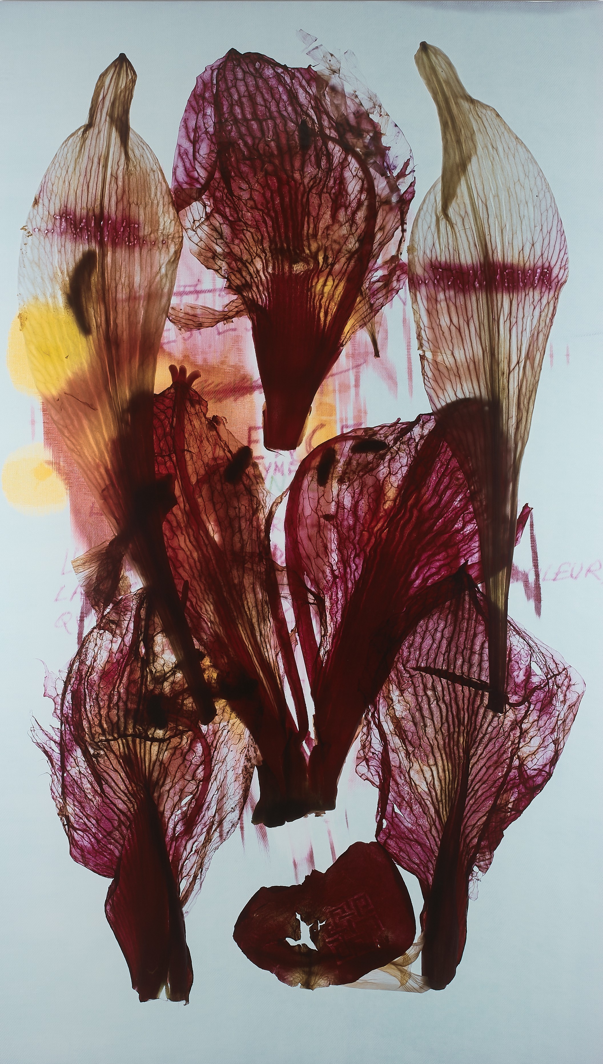 Sans titre - 2013