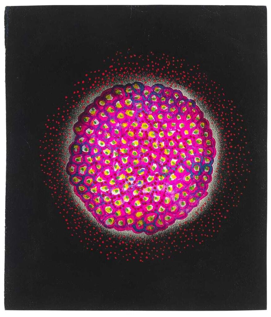 Yayoi Kusama, The Flower (No. 2)