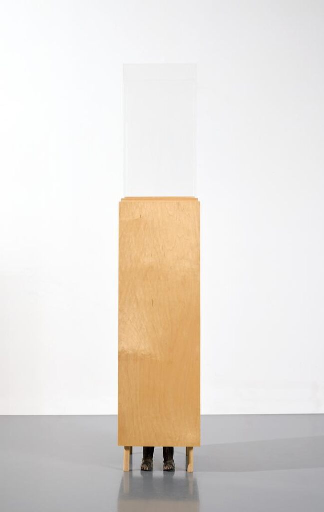 Untitled (Hidden from View)