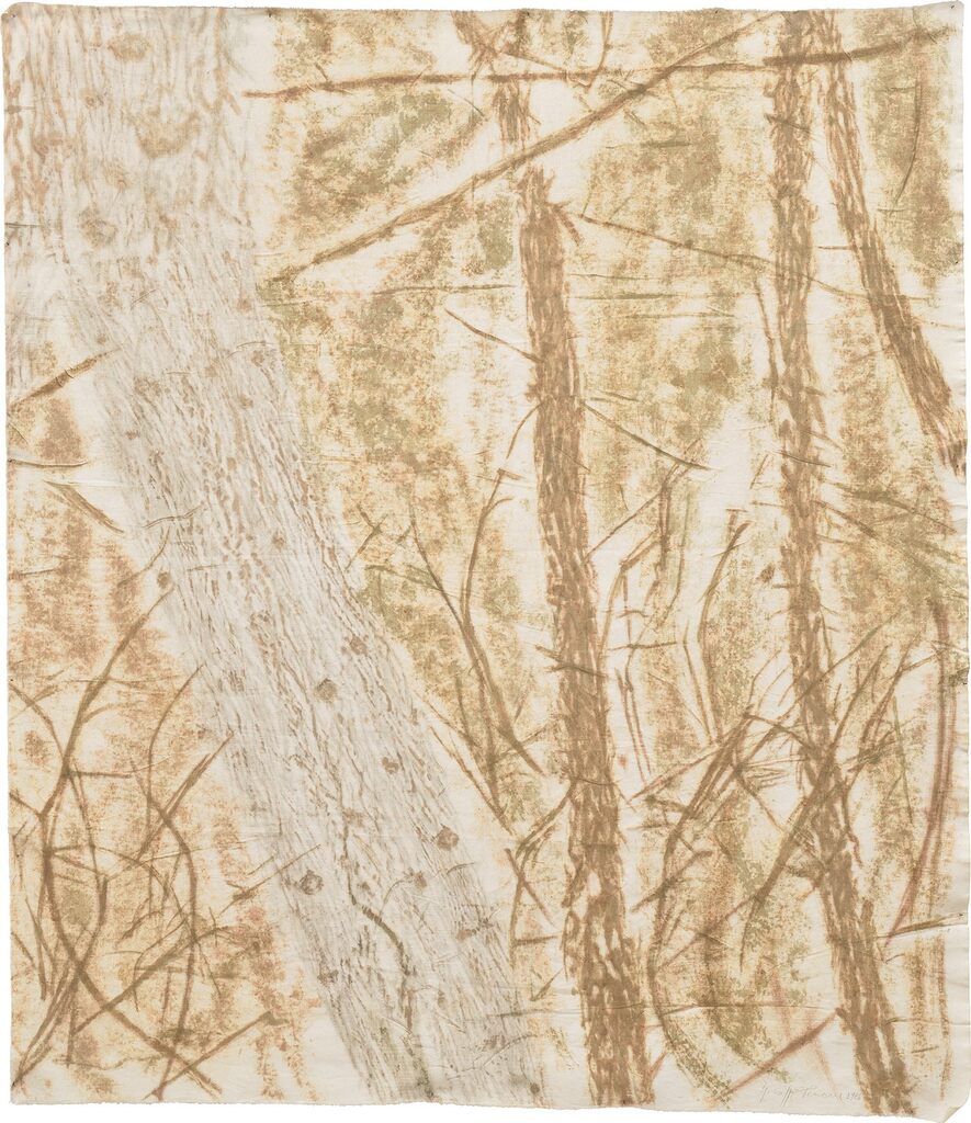 Verde del bosco