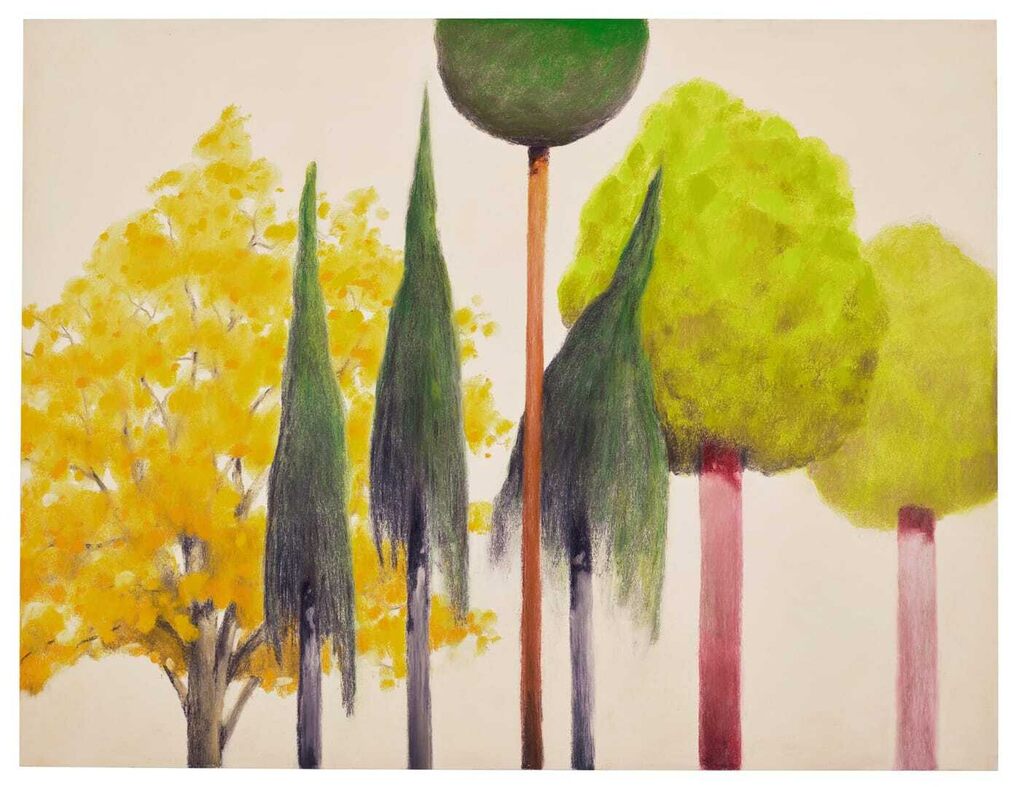 Nicolas Party, Trees