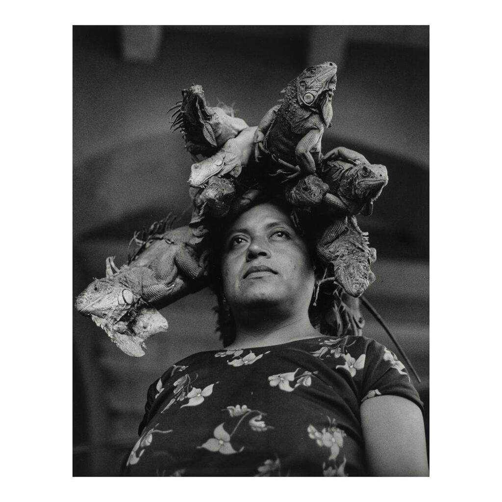 Nuestra Señora de las Iguanas (Our Lady of the Iguanas)