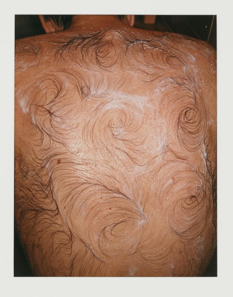 Van Gogh's Back