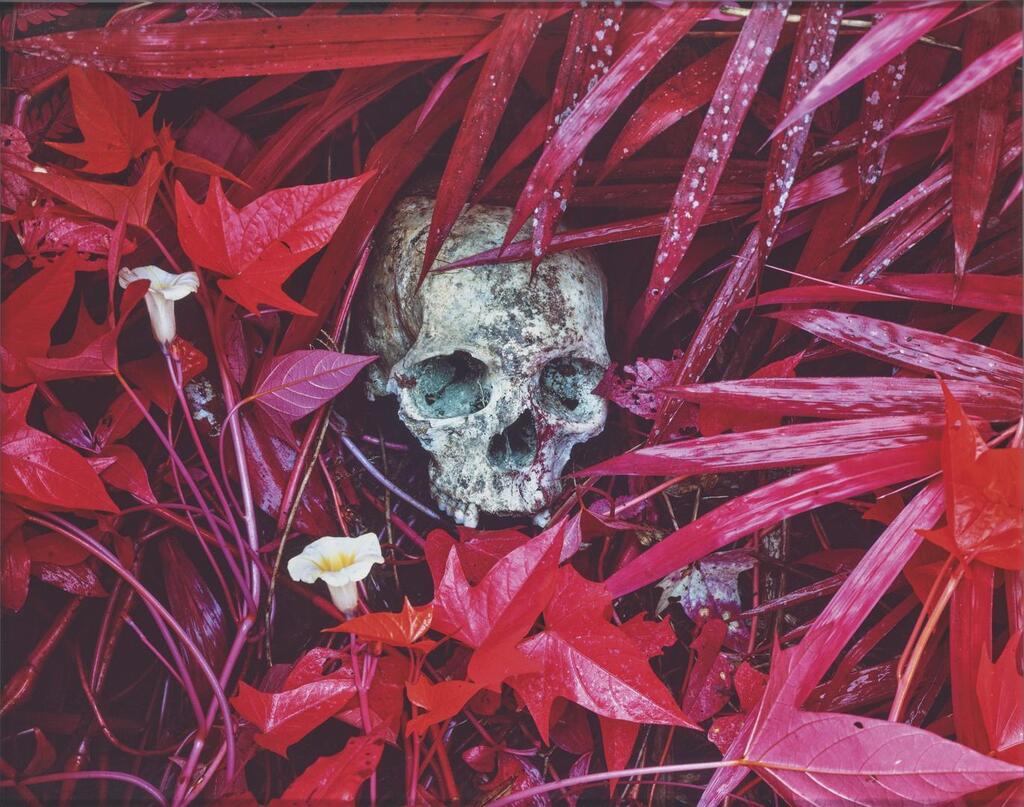 Of Lilies and Remains