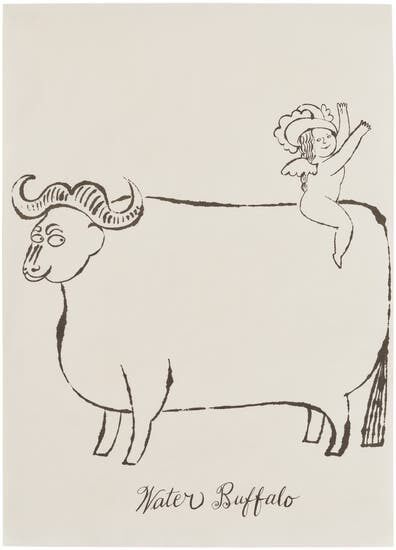 Water Buffalo, from the Wonderful World of Fleming-Joffe