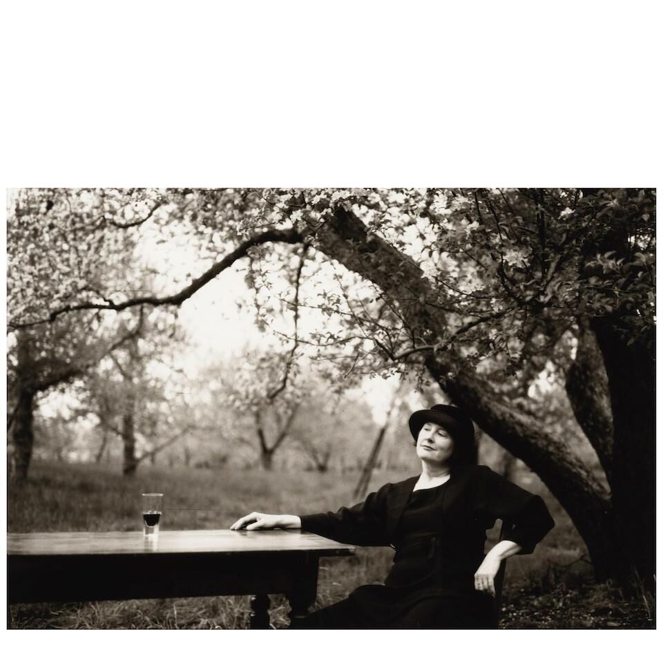 Alice Waters, Rocktown Apple Orchard, New Jersey', 1998