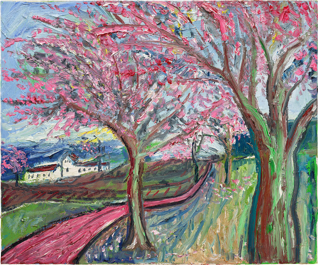 Cherry Trees