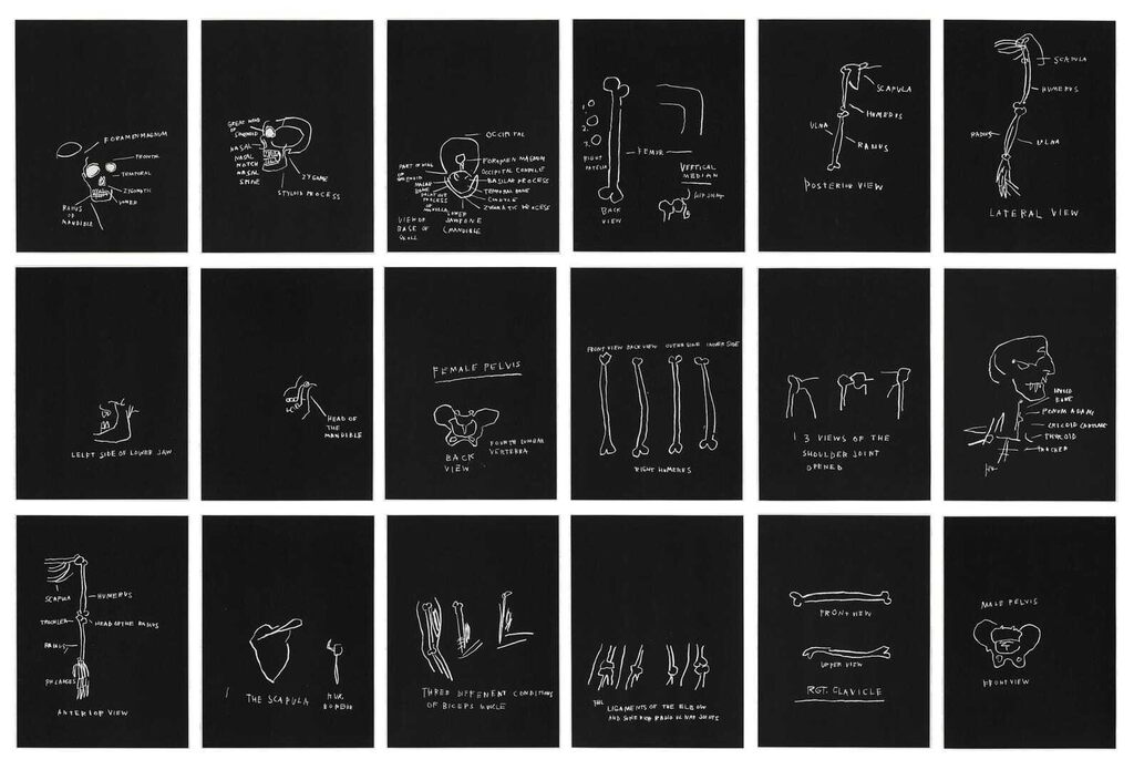 Jean-Michel Basquiat, Anatomy