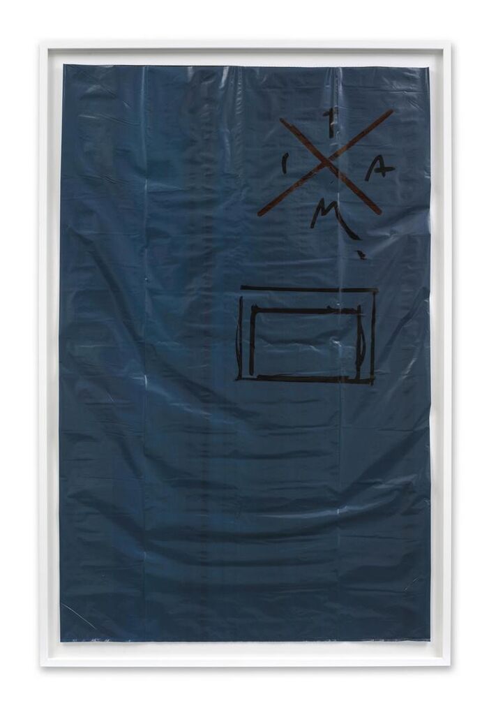 Untitled (Garbage Bag #12)