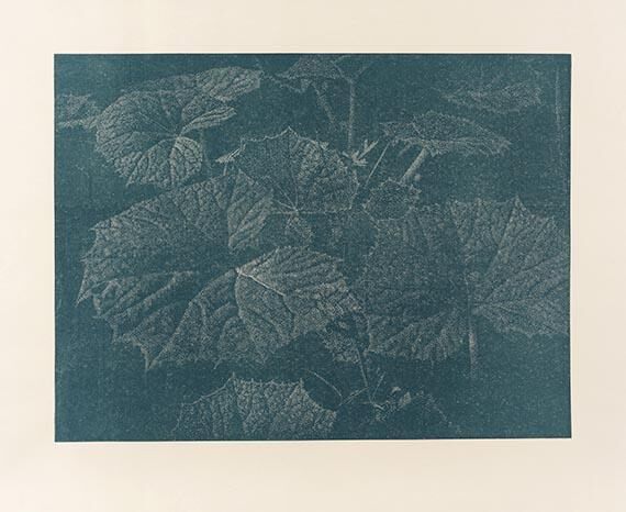 Bagatelle II. Pestwurz