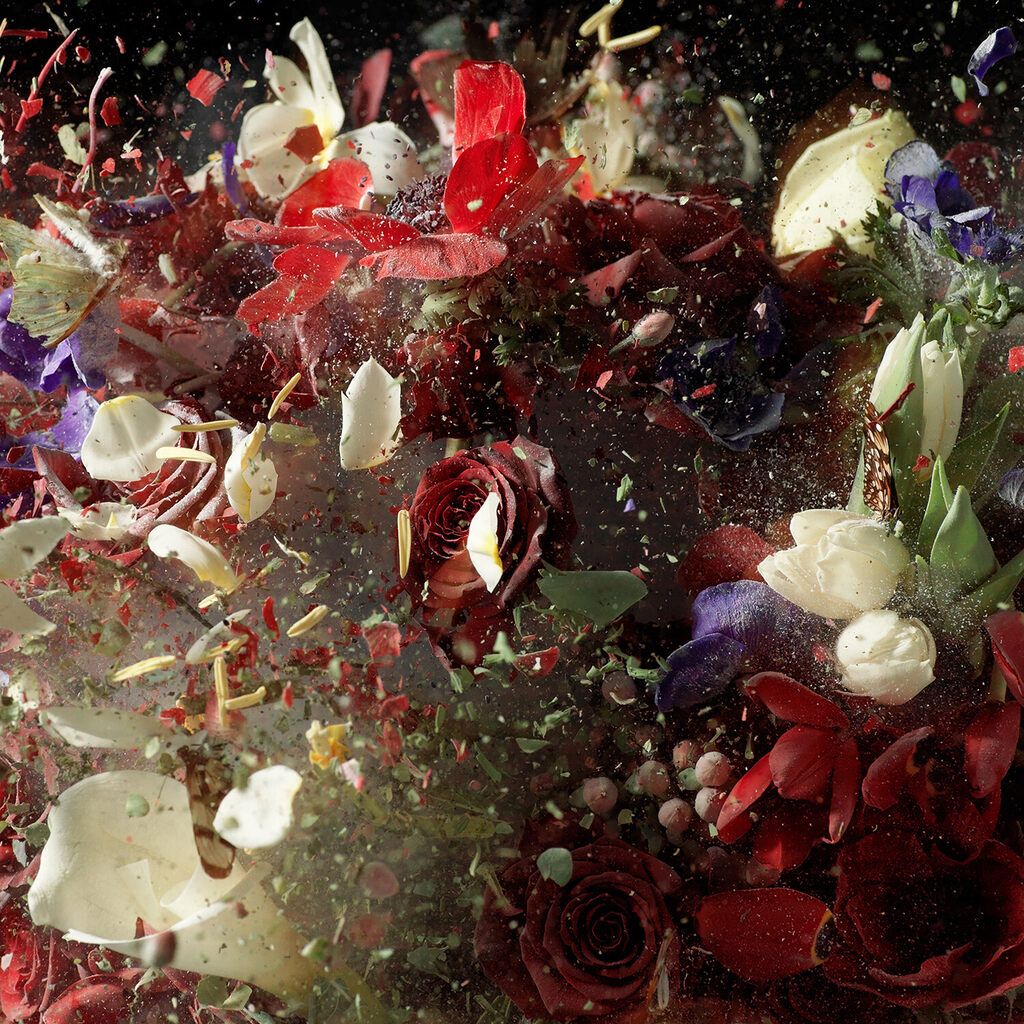Untitled 12 from Blow Up