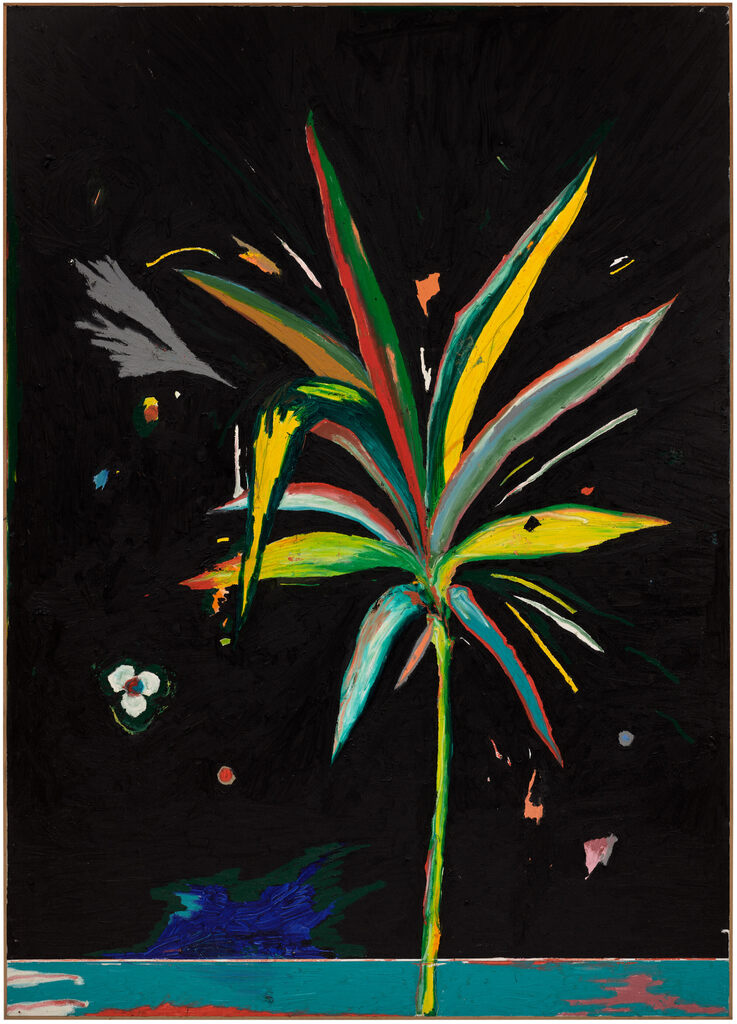 Harold Ancart, Untitled