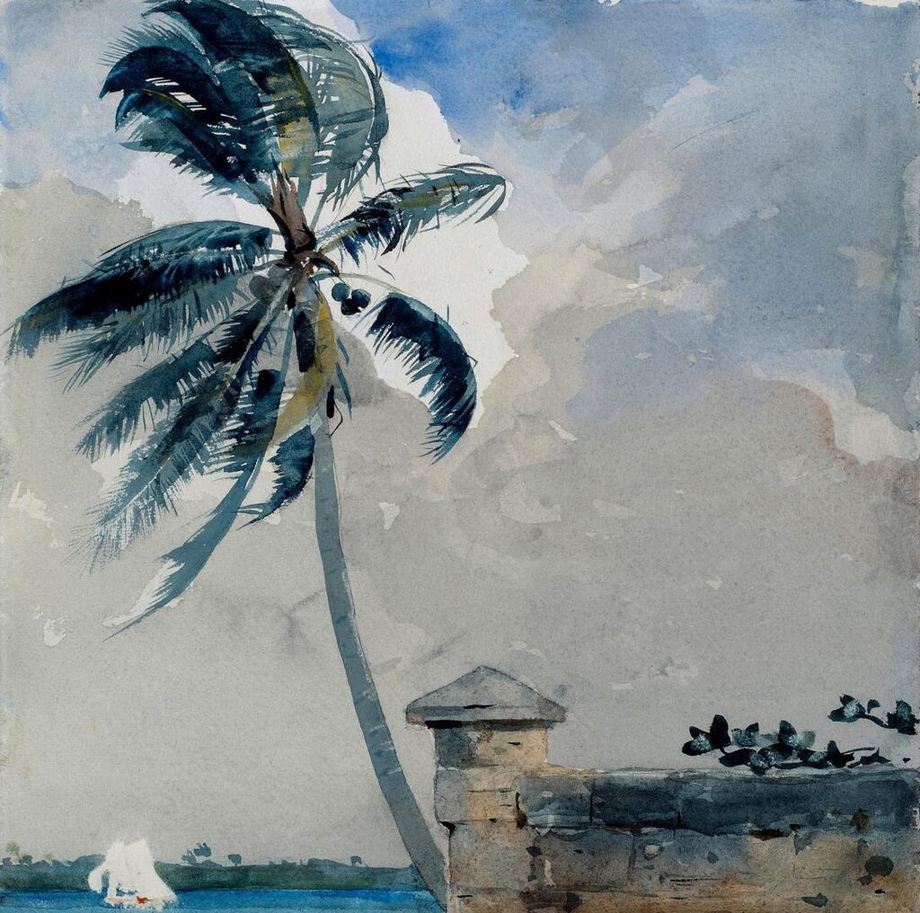 Winslow Homer, Palm Trees and Stone Wall