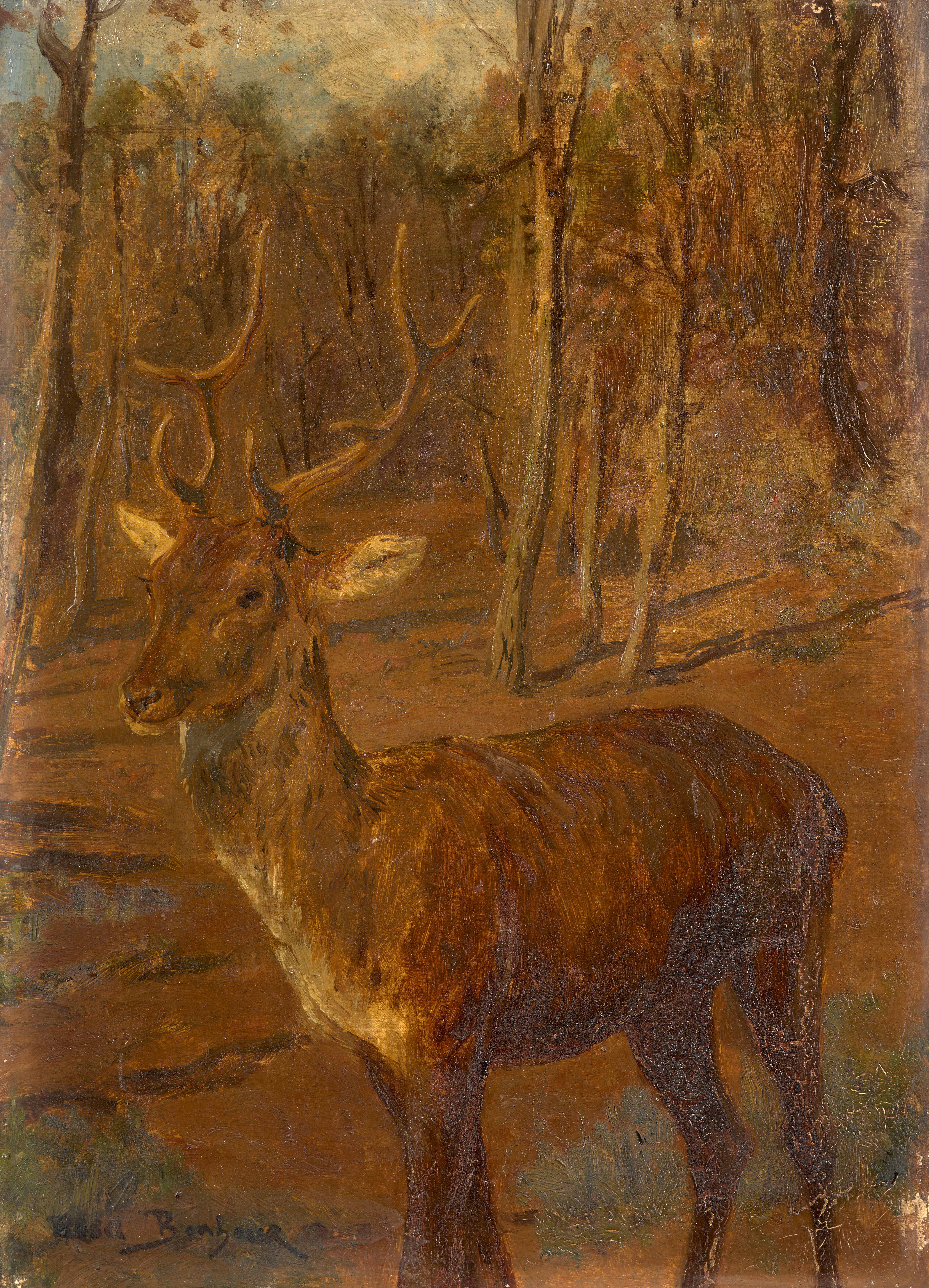 Etude de cerf en forêt