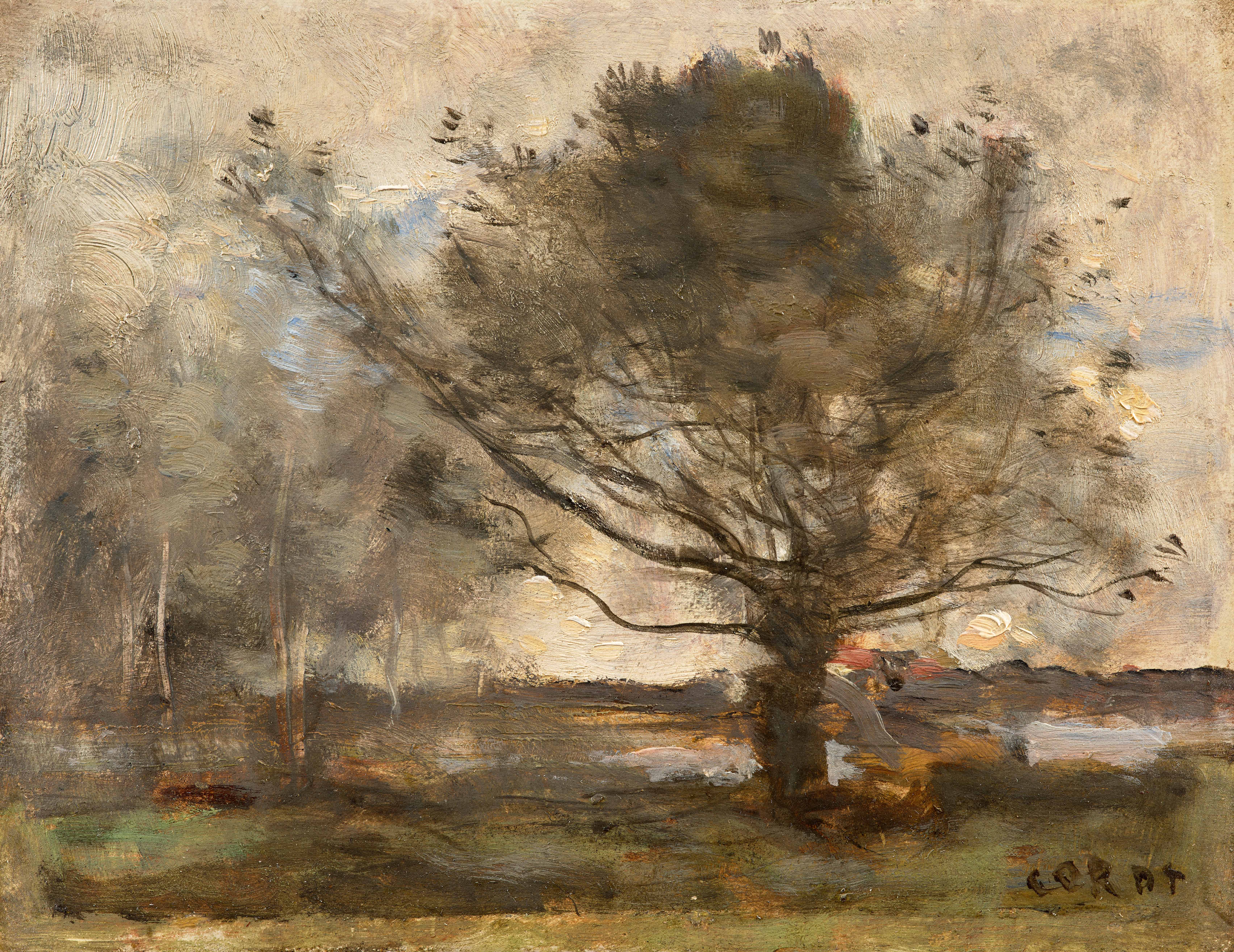 Arbre au bord des marais