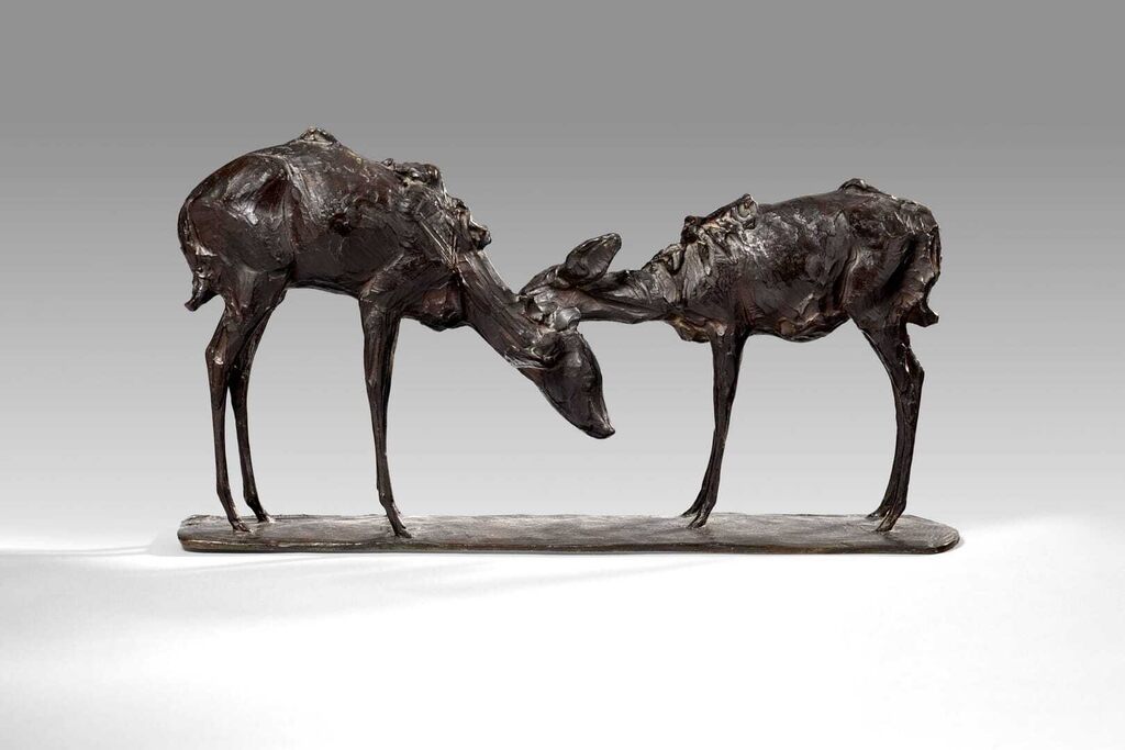 Petites Antilopes goudou ou Koudou "deux amis"