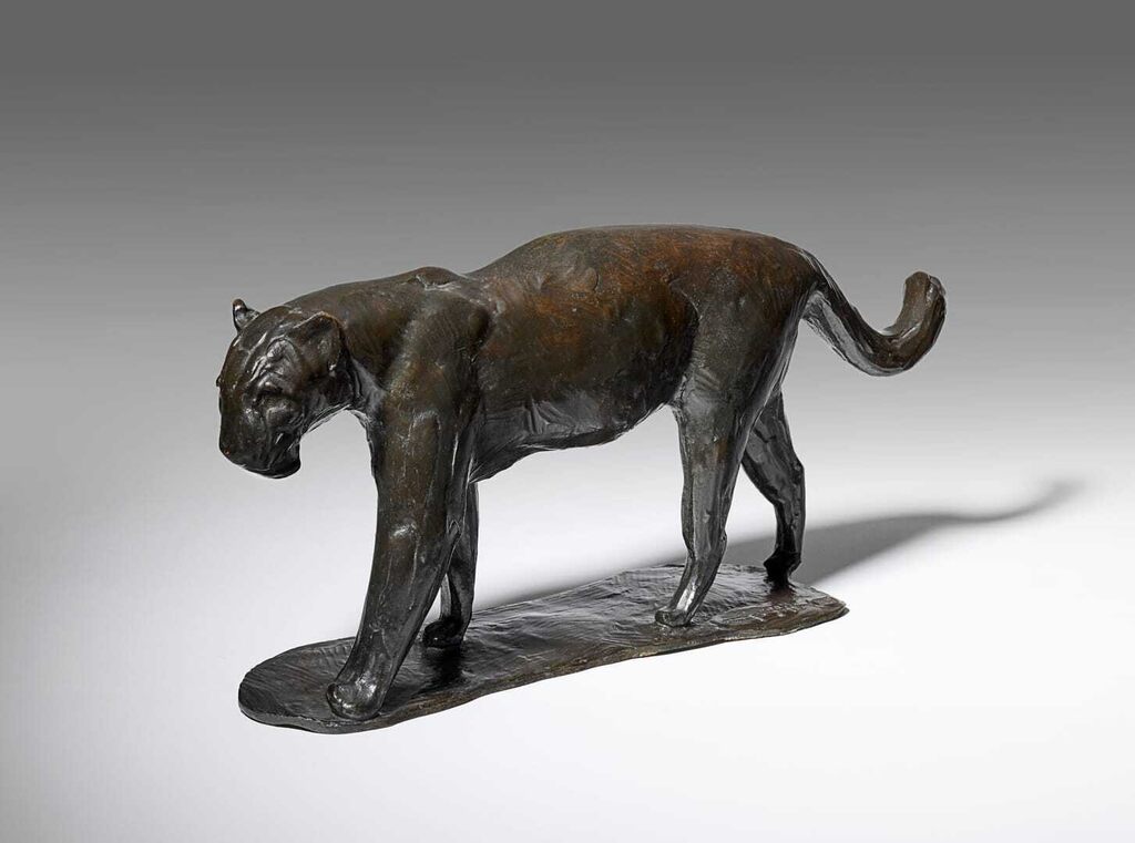 Petit Jaguar marchant