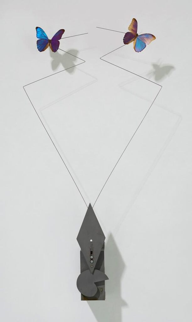 Butterfly Machine 
