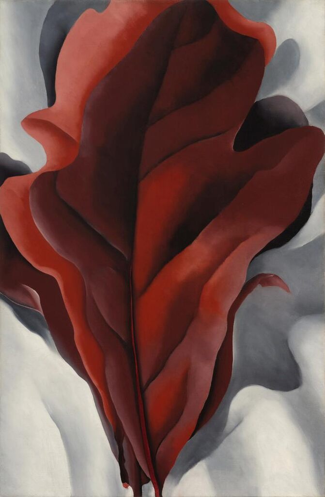 Georgia O'Keeffe, Large Dark Red Leaves on White