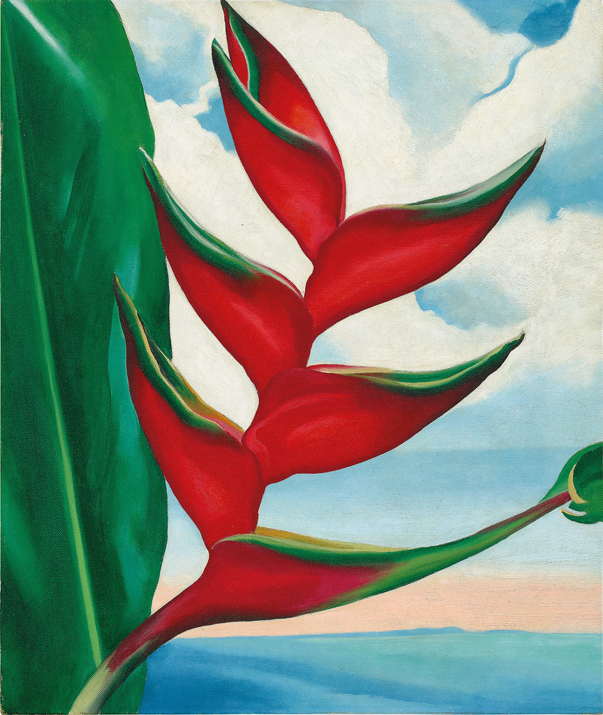 Georgia O'Keeffe, Crab’s Claw Ginger Hawaii