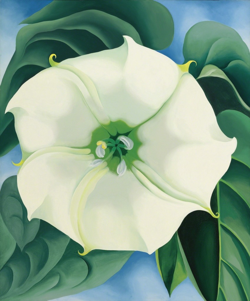 Georgia O'Keeffe, Jimson Weed/White Flower No. 1