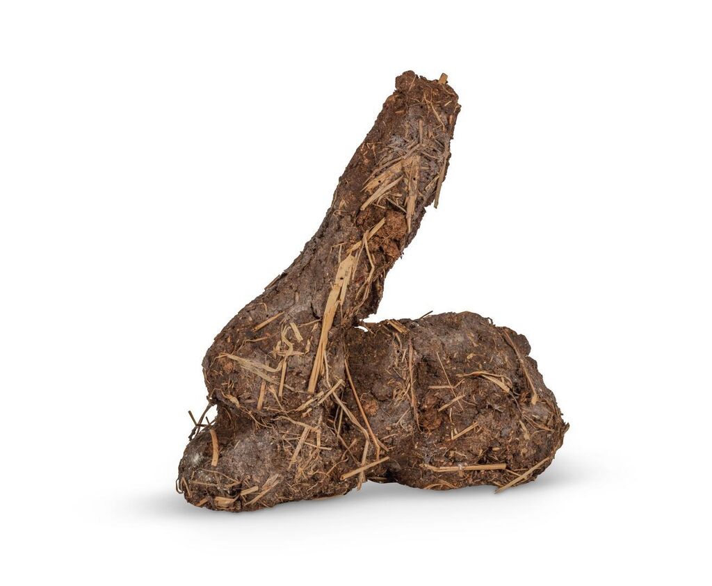 Karnickelköttelkarnickel (Bunny-dropping-bunny)