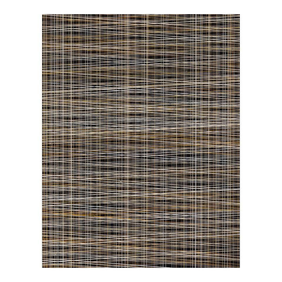 Untitled (C-322)'