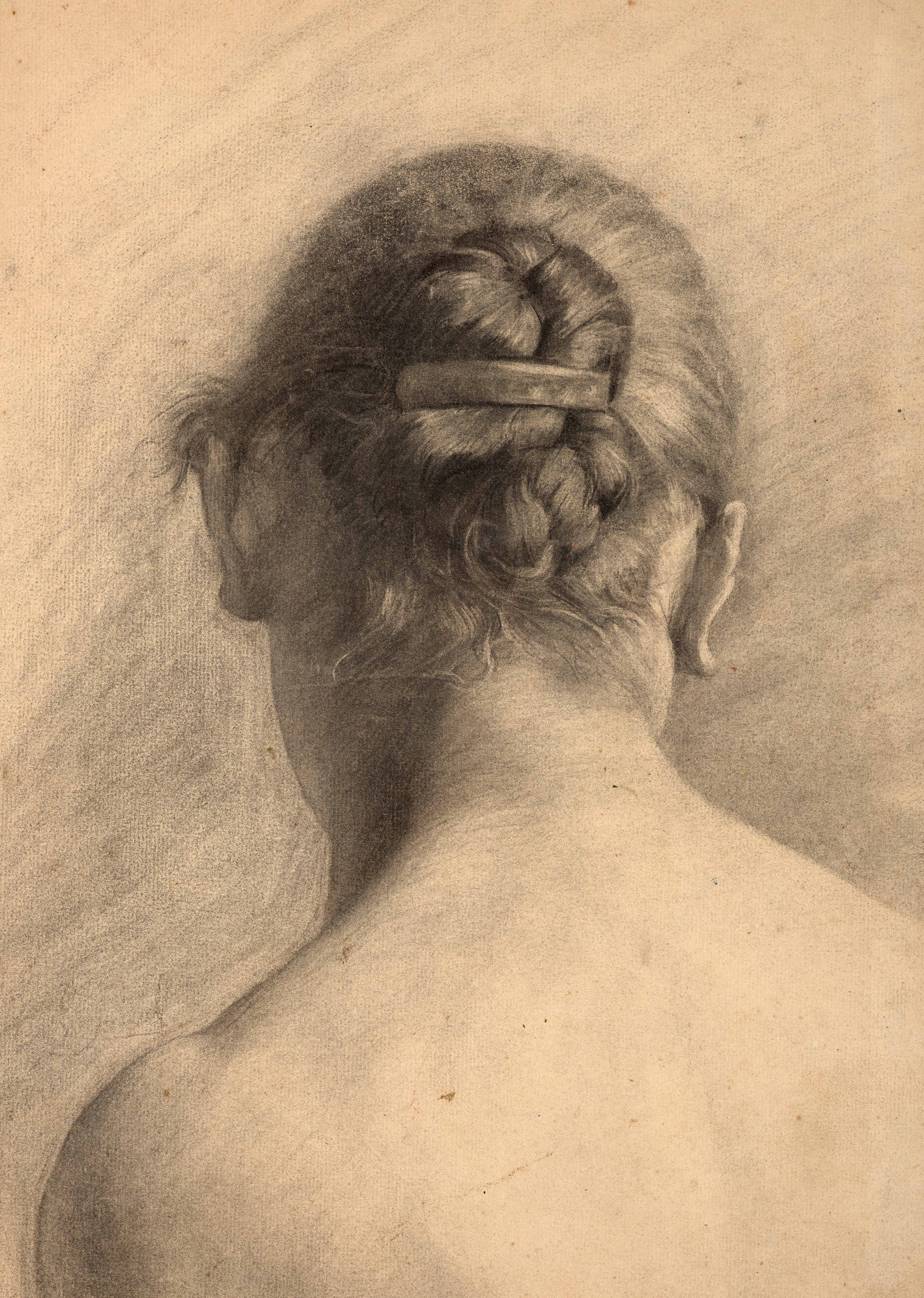 Etude de chignon