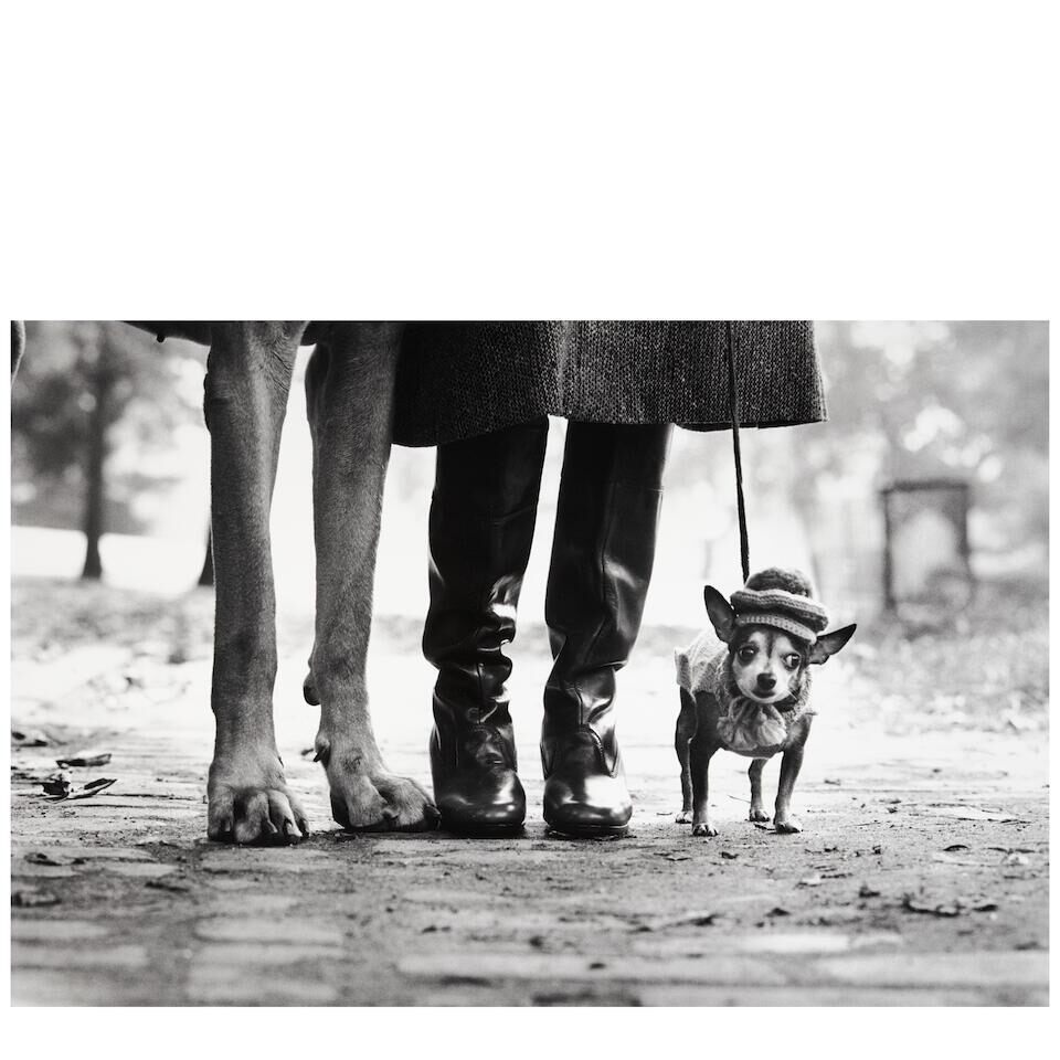 'New York City' (Felix, Gladys, and Rover)