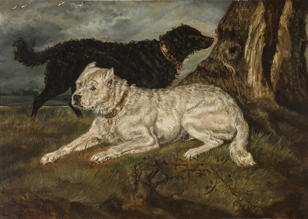 Old Brutus and a retriever