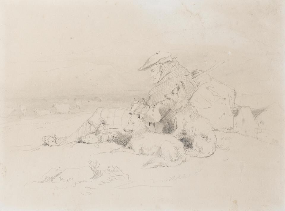 A highland shepherd