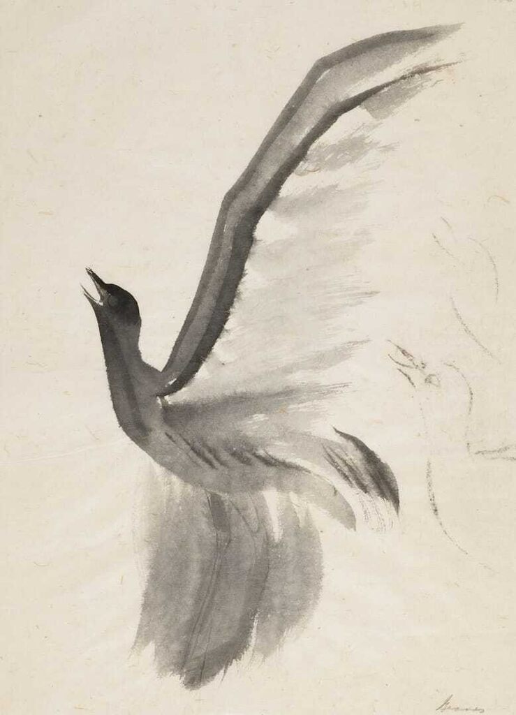 Plover