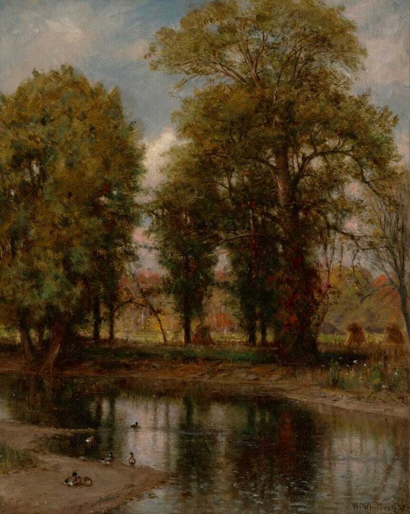 Landscape along a River