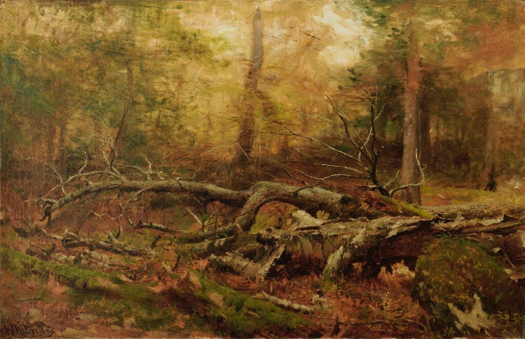 Study in the Forest