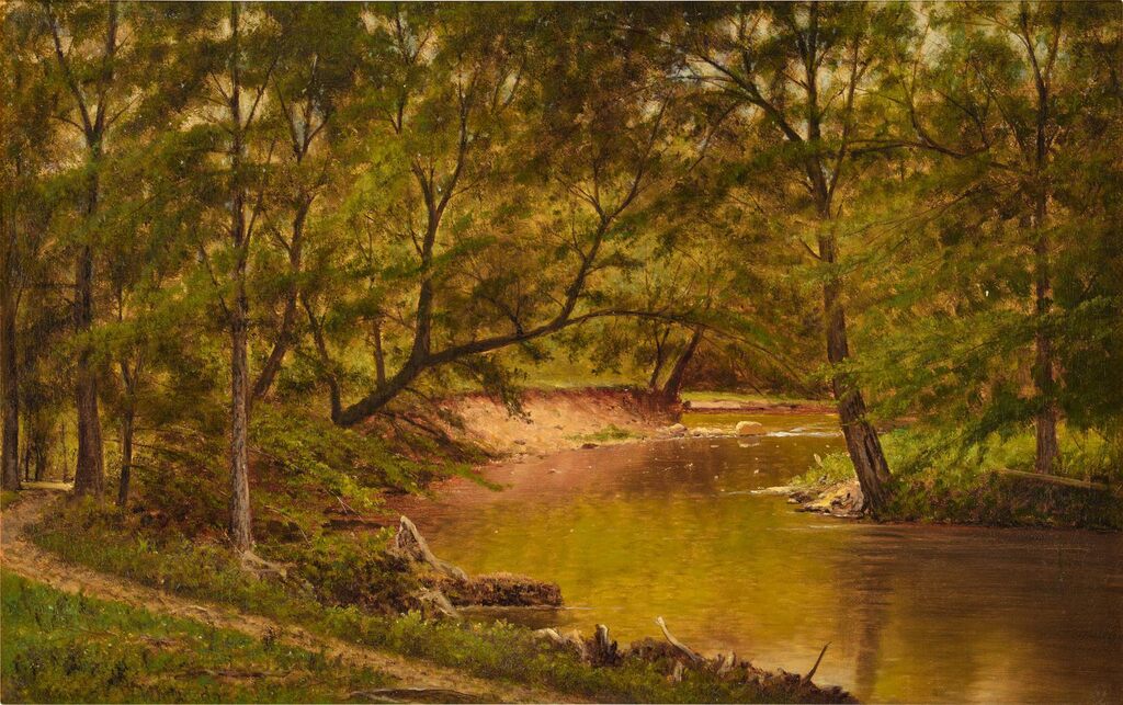Woodland Interior