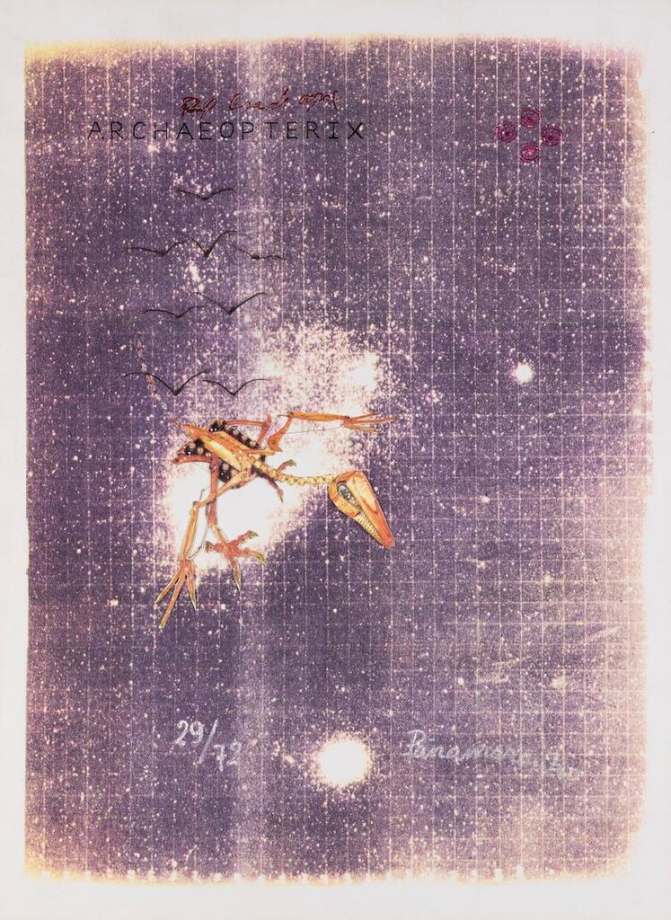 Archaeopteryx, zelf lesen de vogel