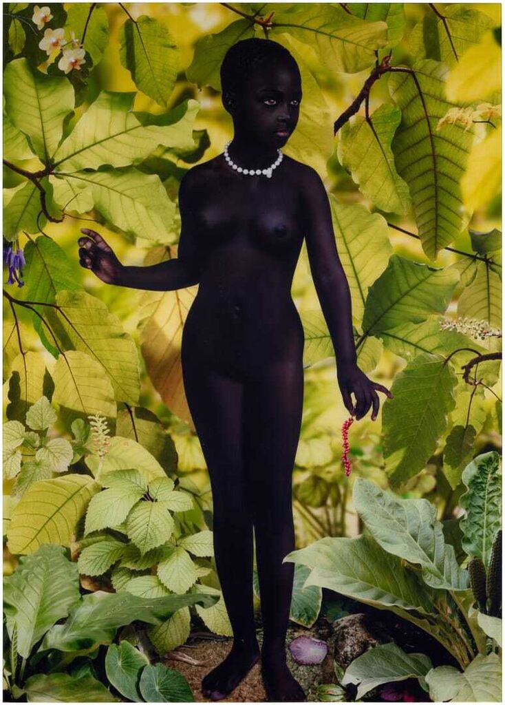 Venus #1