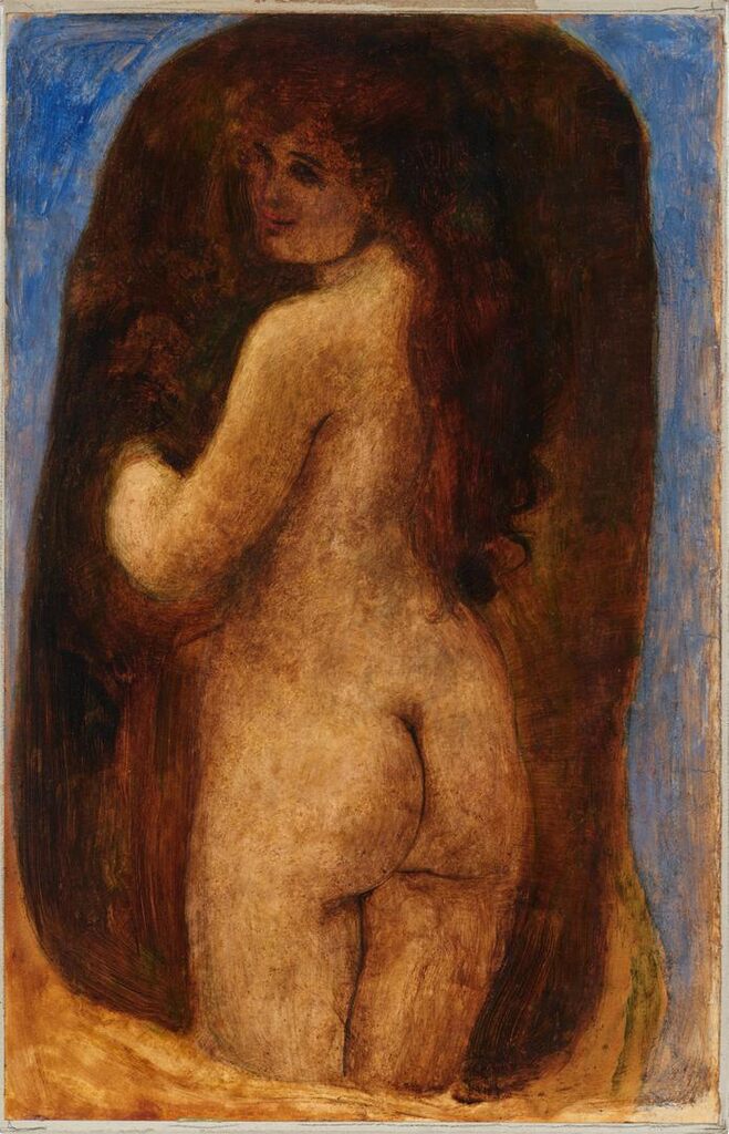 Rückenakt mit langen braunen Haar (Nude with long brown hair, back view)
