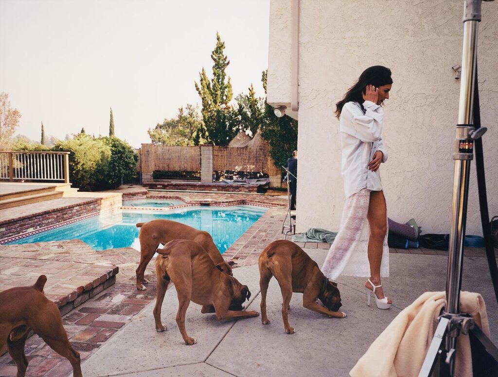 Boxers, Mission Hills (from 'The Valley')