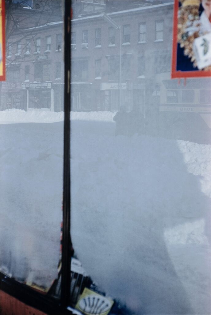 Snowy Scene