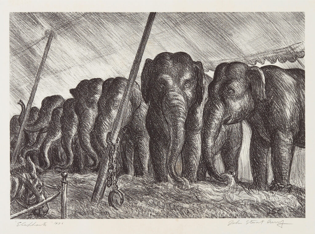 Elephants
