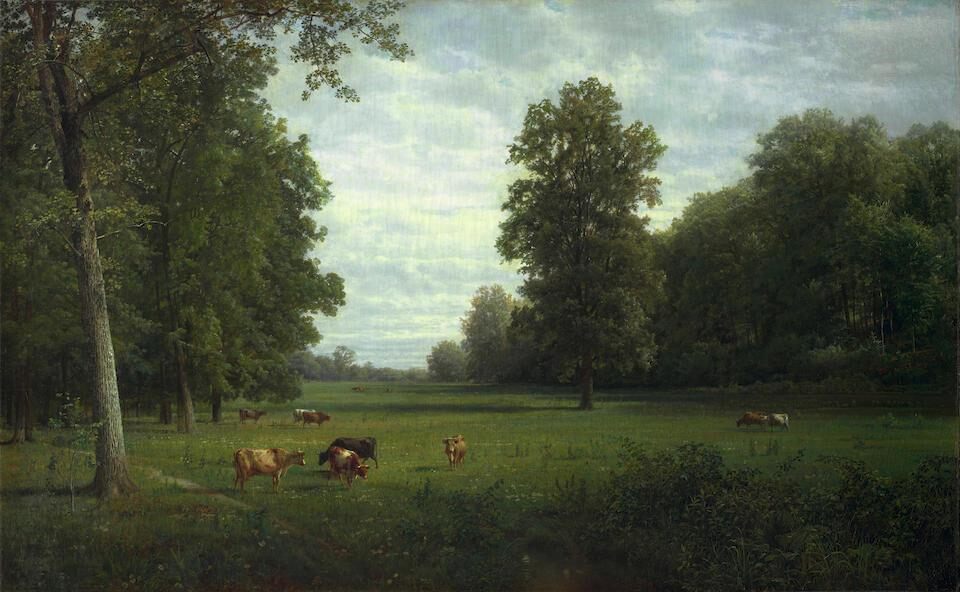 Cows in a Pasture