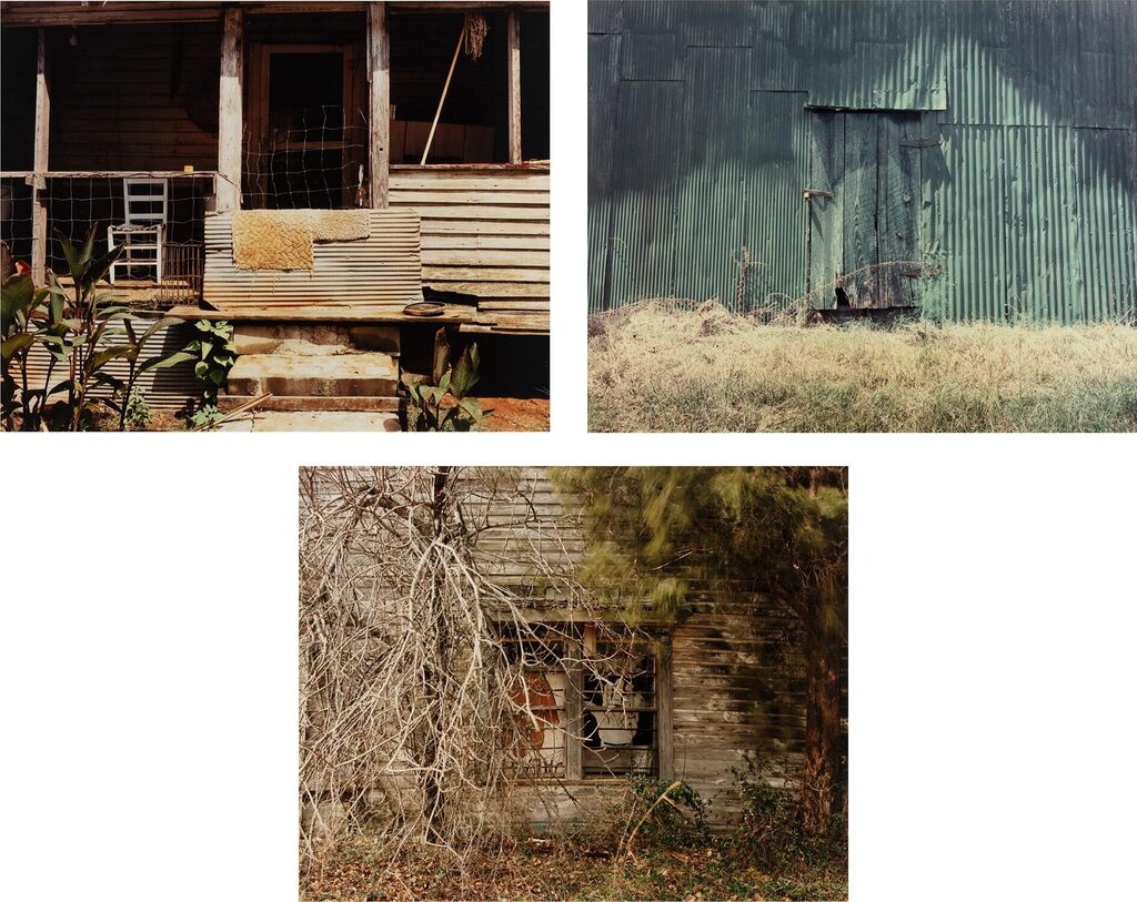 Selected Images