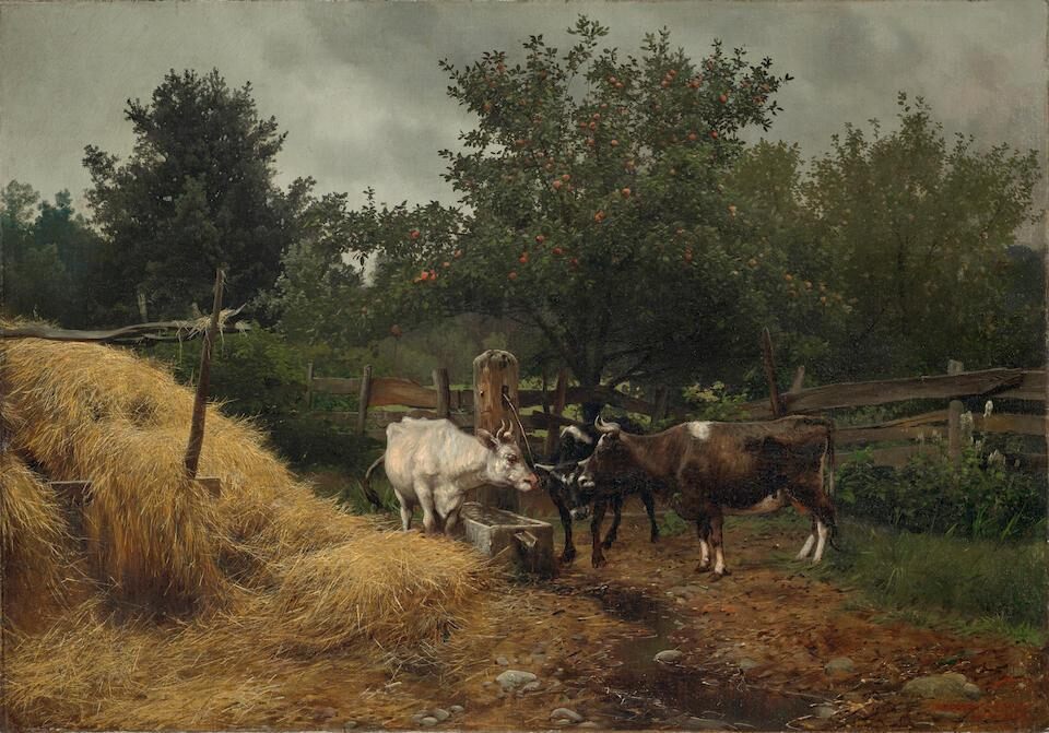 Cows at the Spring