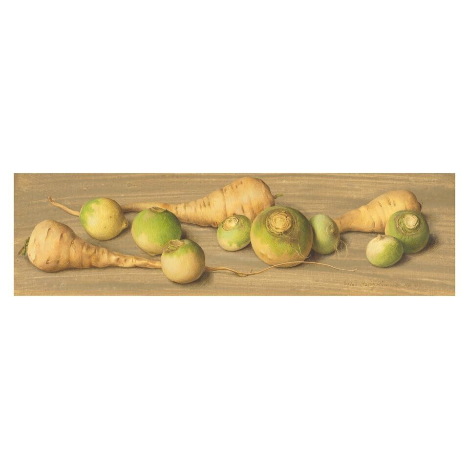 Parsnips and turnips