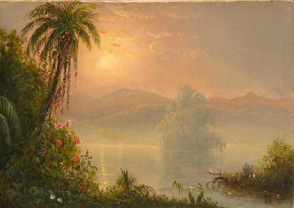 South American Landscape