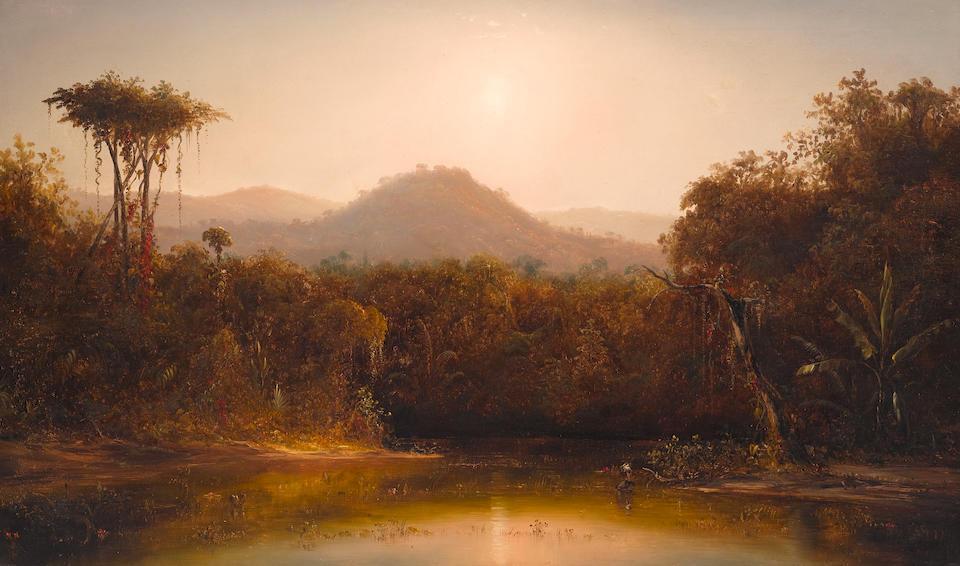Tropical Landscape