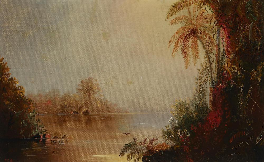 Tropical Scene