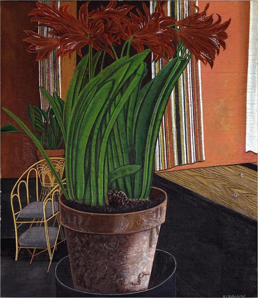 Stilleben mit Amaryllis