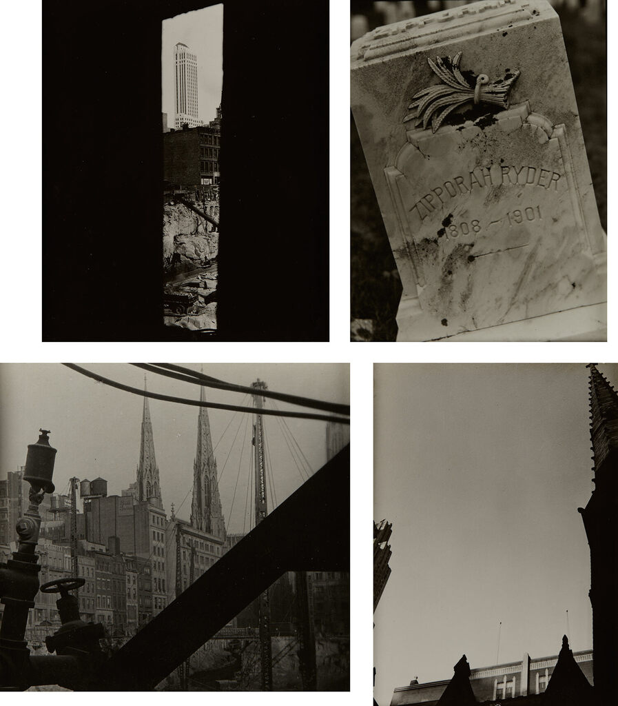 Selected Images